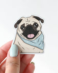 Charlie the Pug Scarf Sticker