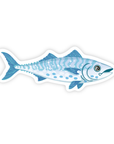 Mackerel - Atlantic Fish Vinyl Sticker